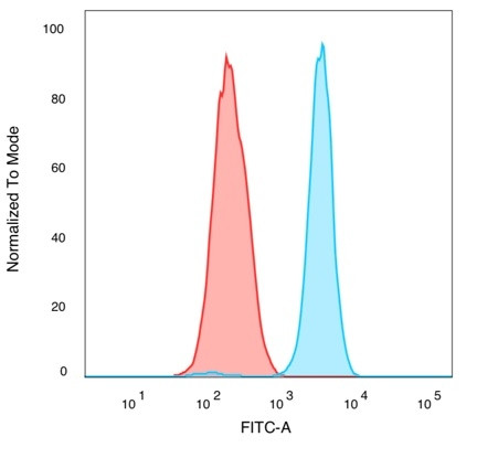 QKI/Protein Quaking Antibody in Flow Cytometry (Flow)