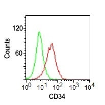 CD34 (Hematopoietic Stem Cell and Endothelial Marker) Antibody in Flow Cytometry (Flow)