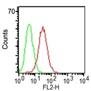 CD34 (Hematopoietic Stem Cell and Endothelial Marker) Antibody in Flow Cytometry (Flow)