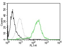 CD63 (Late Endosomes Marker) Antibody in Flow Cytometry (Flow)