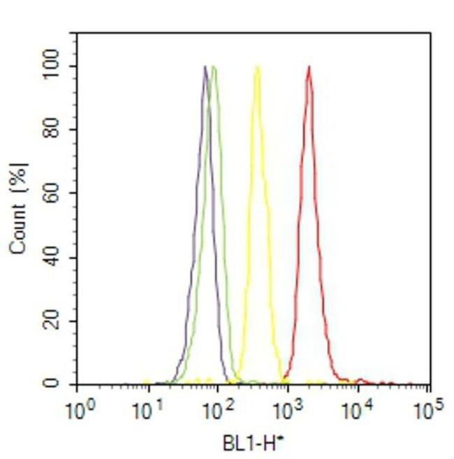 Mouse IgG (H+L) Cross-Adsorbed Secondary Antibody in Flow Cytometry (Flow)