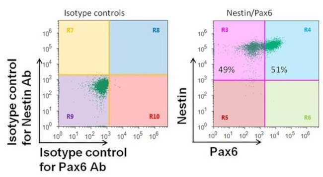 Mouse IgG (H+L) Highly Cross-Adsorbed Secondary Antibody in Flow Cytometry (Flow)