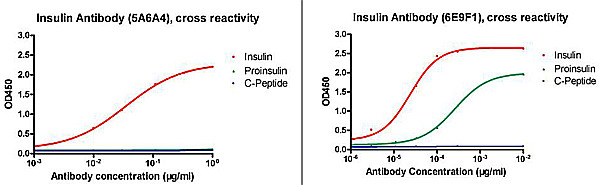 Insulin Antibody in ELISA (ELISA)