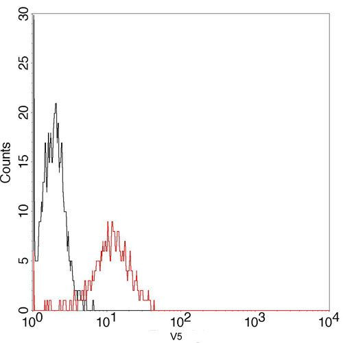 V5 Tag Antibody in Flow Cytometry (Flow)