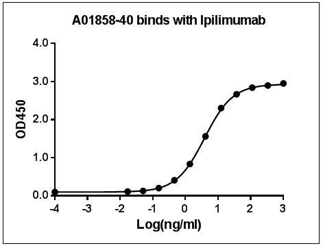 Ipilimumab Antibody in ELISA (ELISA)