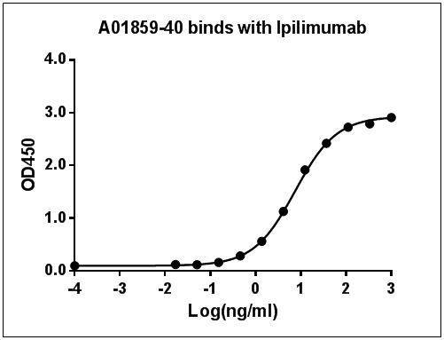 Ipilimumab Antibody in ELISA (ELISA)