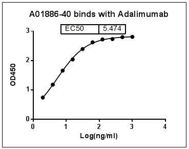 Adalimumab Antibody in ELISA (ELISA)