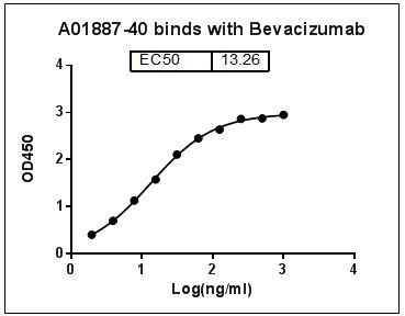 Bevacizumab Antibody in ELISA (ELISA)