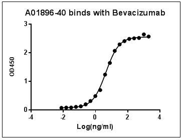 Bevacizumab Antibody in ELISA (ELISA)