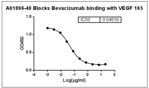 Bevacizumab Antibody in ELISA (ELISA)