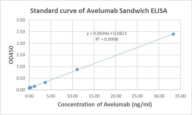 Avelumab Antibody in ELISA (ELISA)