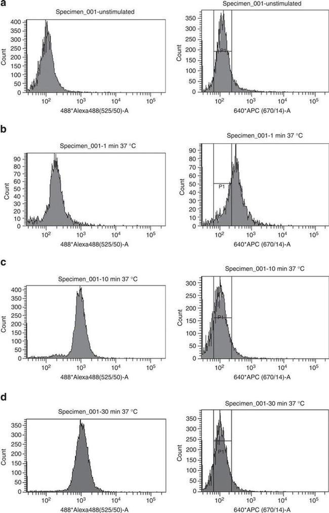 Alexa Fluor 488 Antibody in Flow Cytometry (Flow)