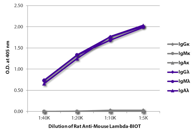 Mouse Lambda Light Chain Secondary Antibody in ELISA (ELISA)