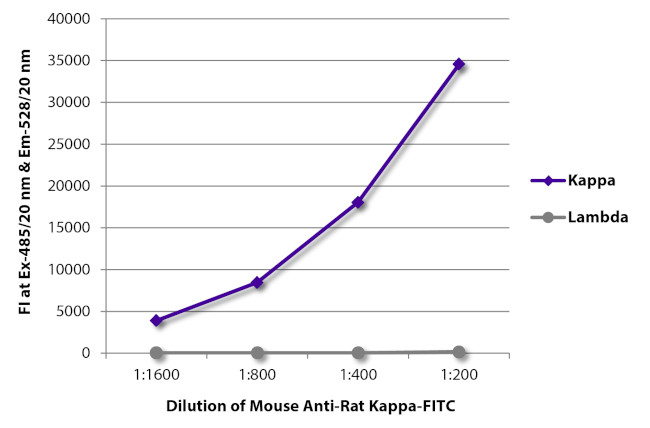 Rat Kappa Light Chain Secondary Antibody in ELISA (ELISA)