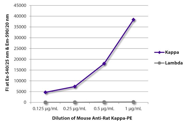 Rat Kappa Light Chain Secondary Antibody in ELISA (ELISA)