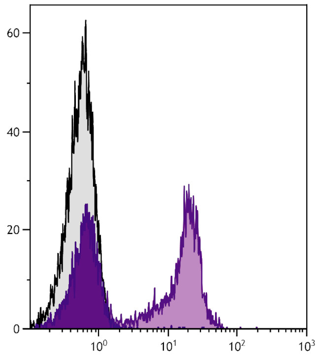 Rat Kappa Light Chain Secondary Antibody in Flow Cytometry (Flow)