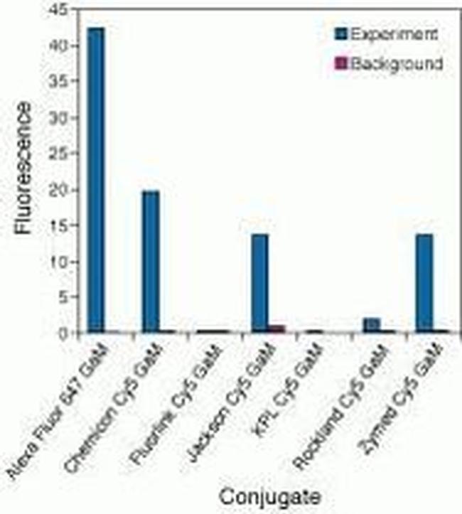 Mouse IgG (H+L) Highly Cross-Adsorbed Secondary Antibody