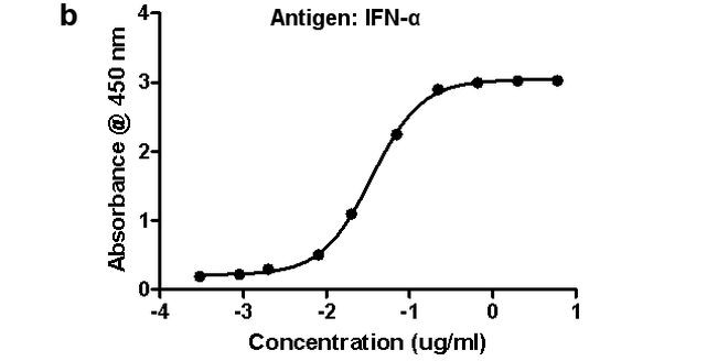 Mouse IgG (H+L) Secondary Antibody in ELISA (ELISA)