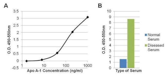 Mouse IgG (H+L) Secondary Antibody in ELISA (ELISA)