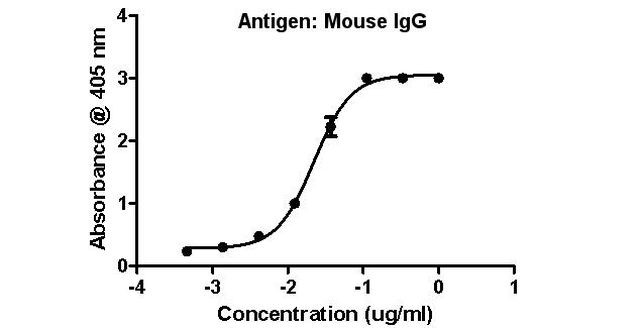 Mouse IgG (H+L) Secondary Antibody in ELISA (ELISA)