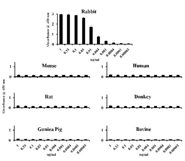 Rabbit IgG (Heavy chain) Secondary Antibody in ELISA (ELISA)