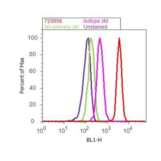 Rabbit IgG (Heavy chain) Secondary Antibody in Flow Cytometry (Flow)