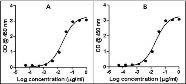 Rabbit IgG (Heavy chain) Secondary Antibody in ELISA (ELISA)