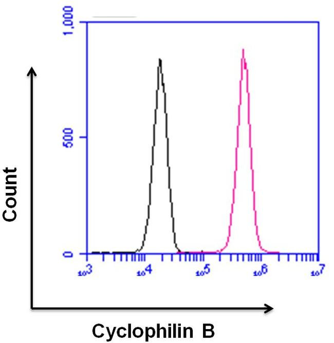 Rabbit IgG (Heavy chain) Secondary Antibody in Flow Cytometry (Flow)