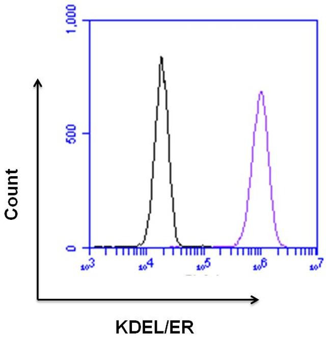 Rabbit IgG (Heavy chain) Secondary Antibody in Flow Cytometry (Flow)