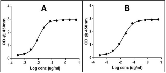 Mouse IgG (H+L) Secondary Antibody in ELISA (ELISA)