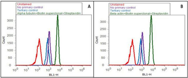 Mouse IgG (H+L) Secondary Antibody in Flow Cytometry (Flow)