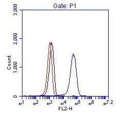 BCR Antibody in Flow Cytometry (Flow)