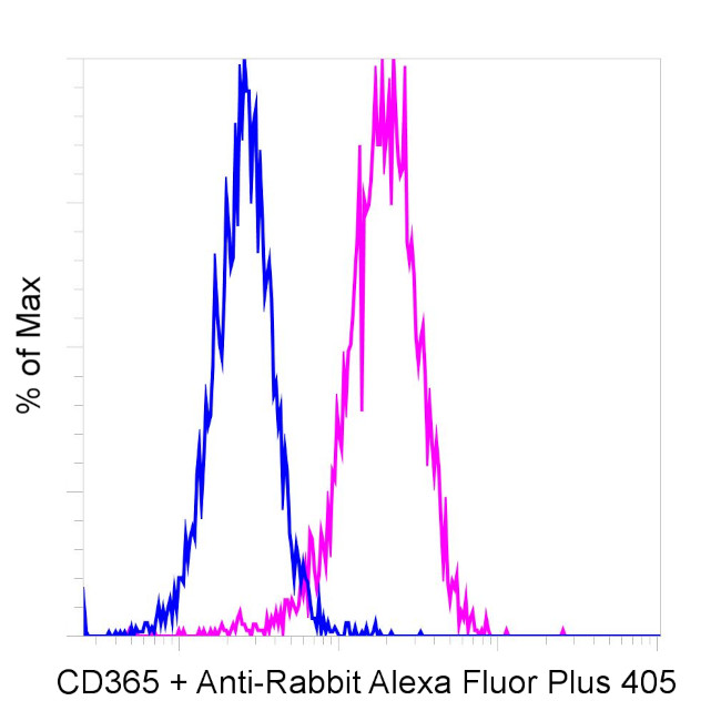 Rabbit IgG (Heavy chain) Secondary Antibody in Flow Cytometry (Flow)