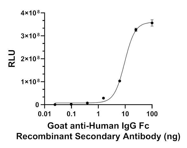 Human IgG Fc Secondary Antibody in ELISA (ELISA)