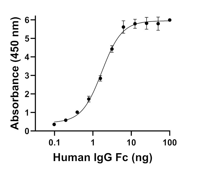 Human IgG Fc Secondary Antibody in ELISA (ELISA)