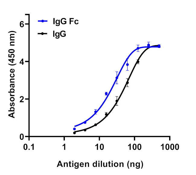 Human IgG Fc Secondary Antibody in ELISA (ELISA)