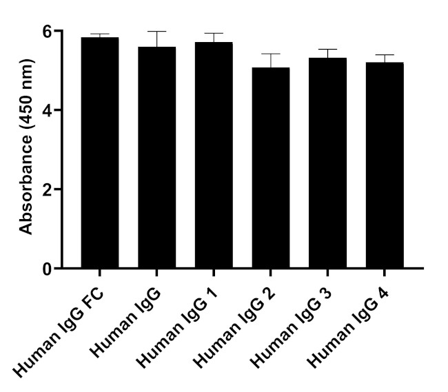 Human IgG Fc Secondary Antibody in ELISA (ELISA)