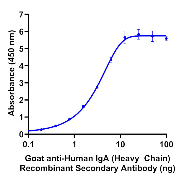 Human IgA (Heavy chain) Secondary Antibody in ELISA (ELISA)