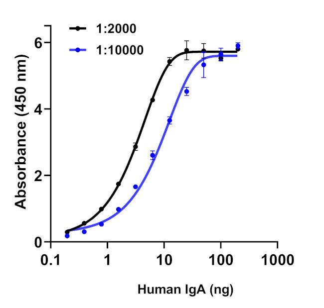 Human IgA (Heavy chain) Secondary Antibody in ELISA (ELISA)