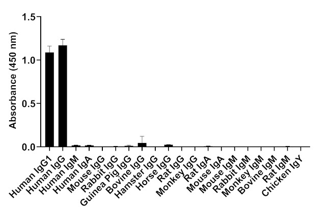 Human IgG1 (Heavy chain) Secondary Antibody