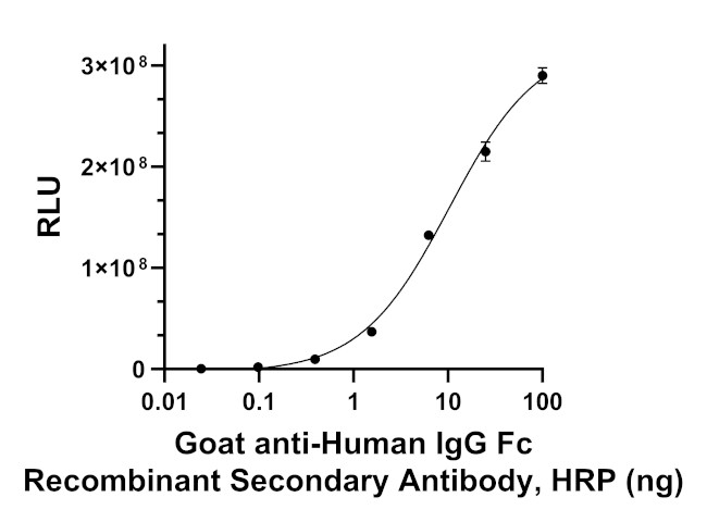 Human IgG Fc Secondary Antibody in ELISA (ELISA)