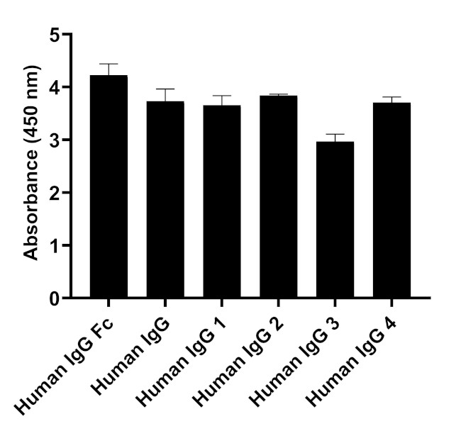 Human IgG Fc Secondary Antibody in ELISA (ELISA)