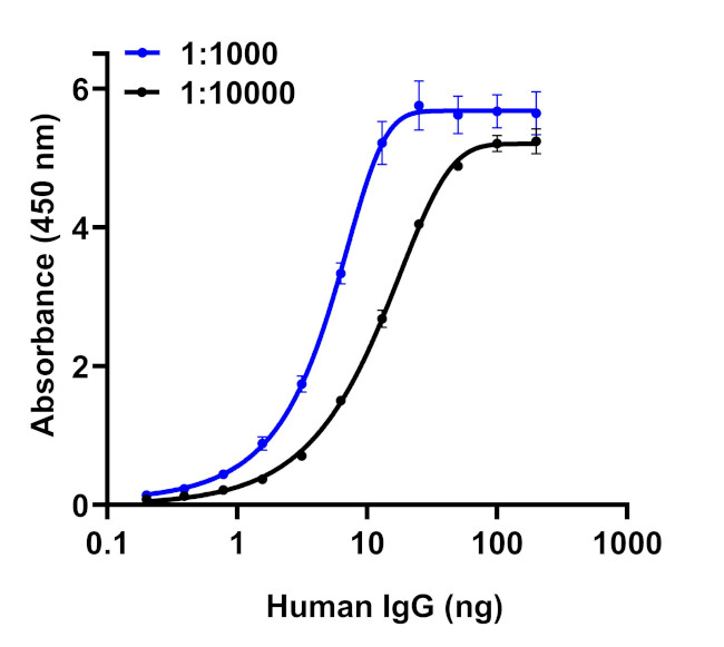 Human IgG Fc Secondary Antibody in ELISA (ELISA)