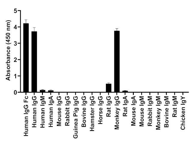 Human IgG Fc Secondary Antibody in ELISA (ELISA)