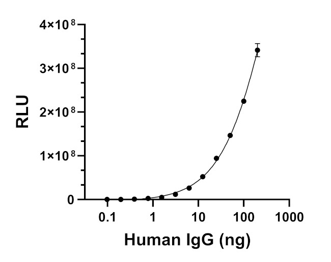 Human IgG (H+L) Secondary Antibody in ELISA (ELISA)