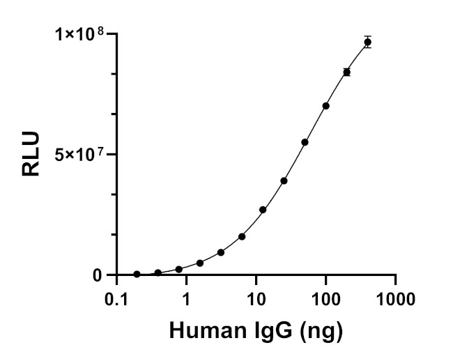 Human IgG (Heavy chain) Secondary Antibody in ELISA (ELISA)