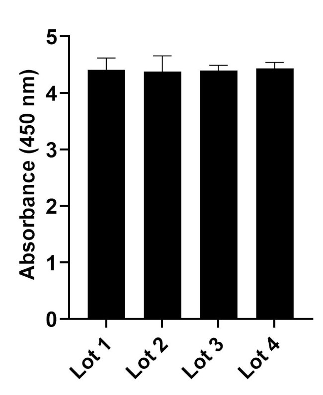 Human IgG (Heavy chain) Secondary Antibody in ELISA (ELISA)