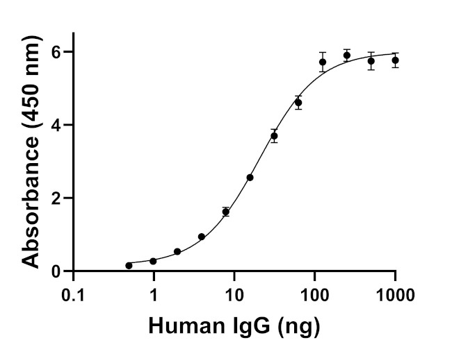 Human IgG (Heavy chain) Secondary Antibody in ELISA (ELISA)