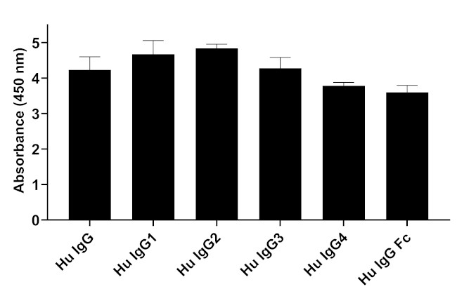 Human IgG (Heavy chain) Secondary Antibody in ELISA (ELISA)