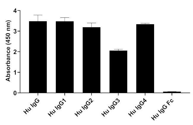 Human IgG (Light chain) Secondary Antibody